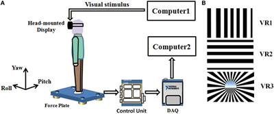 The Effect of Visual Stimuli on Stability and Complexity of Postural Control